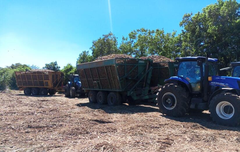 Produccion-de-azucar-2