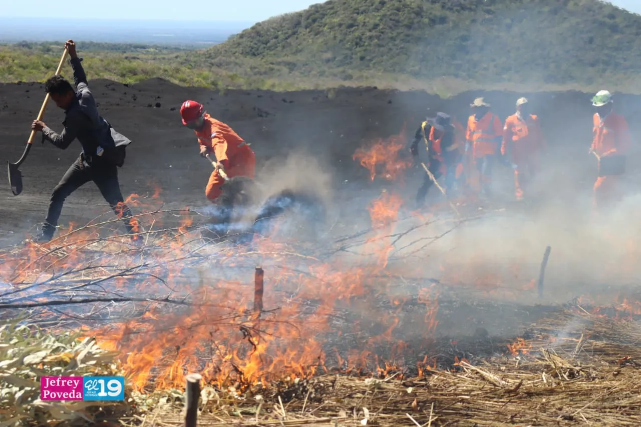 Plan-Incendios-Forestales-17_17_11zon
