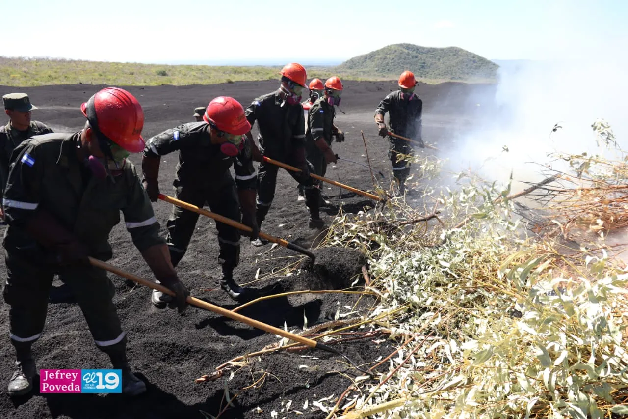 Plan-Incendios-Forestales-23_23_11zon
