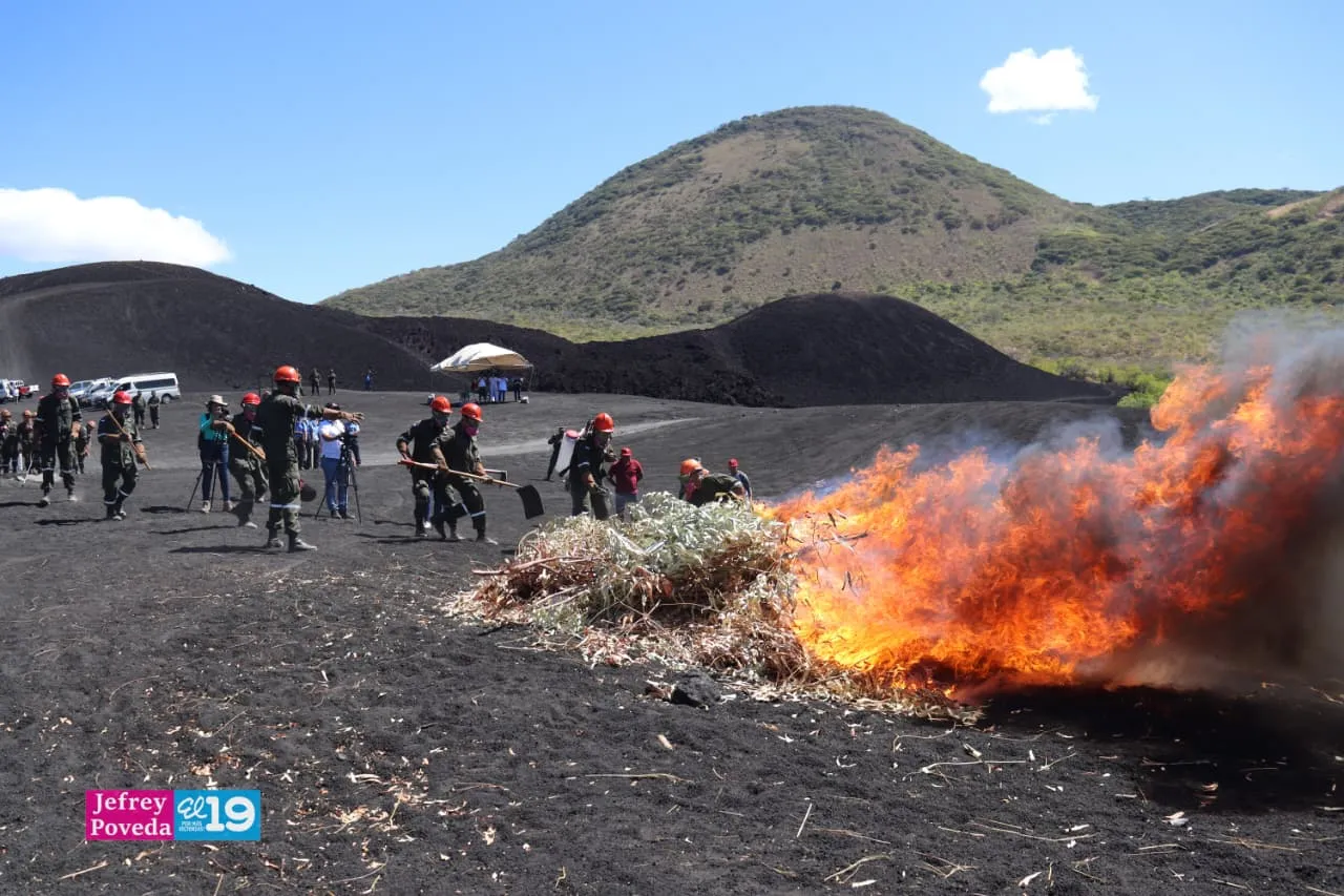 Plan-Incendios-Forestales-29_29_11zon