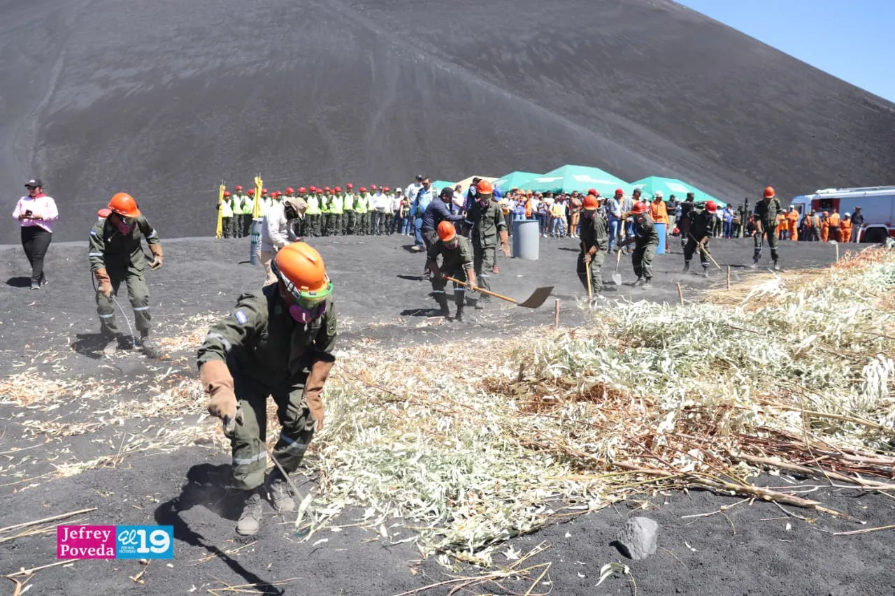 Plan-Incendios-Forestales-30_30_11zon