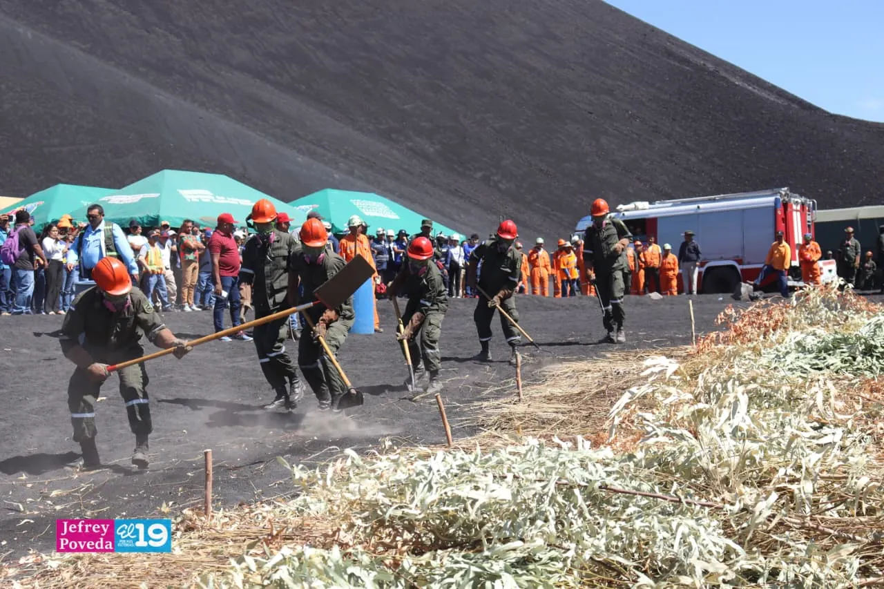 Plan-Incendios-Forestales-31_31_11zon