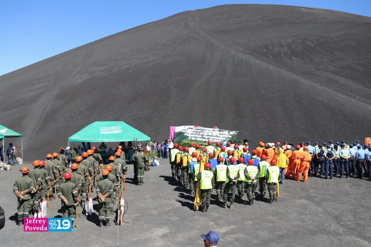 Plan-Incendios-Forestales-41_41_11zon