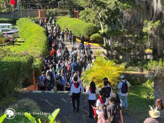 UNIOVERSIDADES--(17)_17_11zon