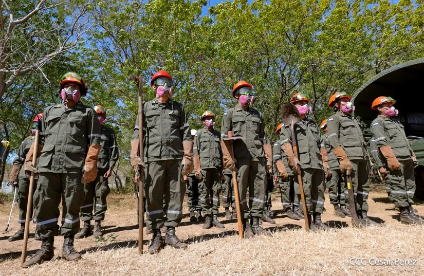 Defensa-Civil-39_38_11zon