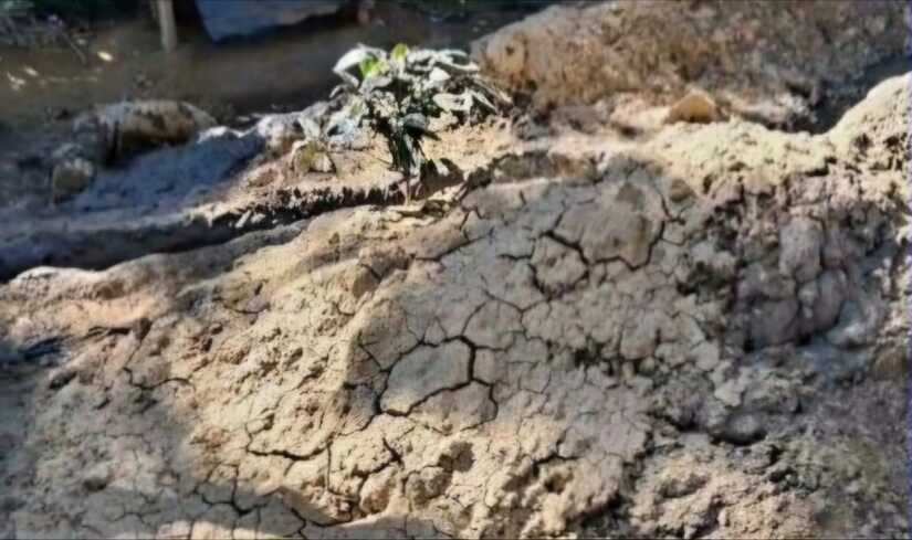 ENACA-1WhatsApp-Image-2026-02-11-at-2-13-16-PM