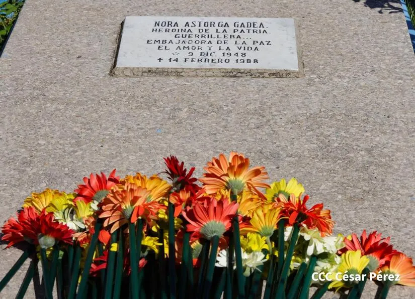 JS19J--(12)_13_11zon