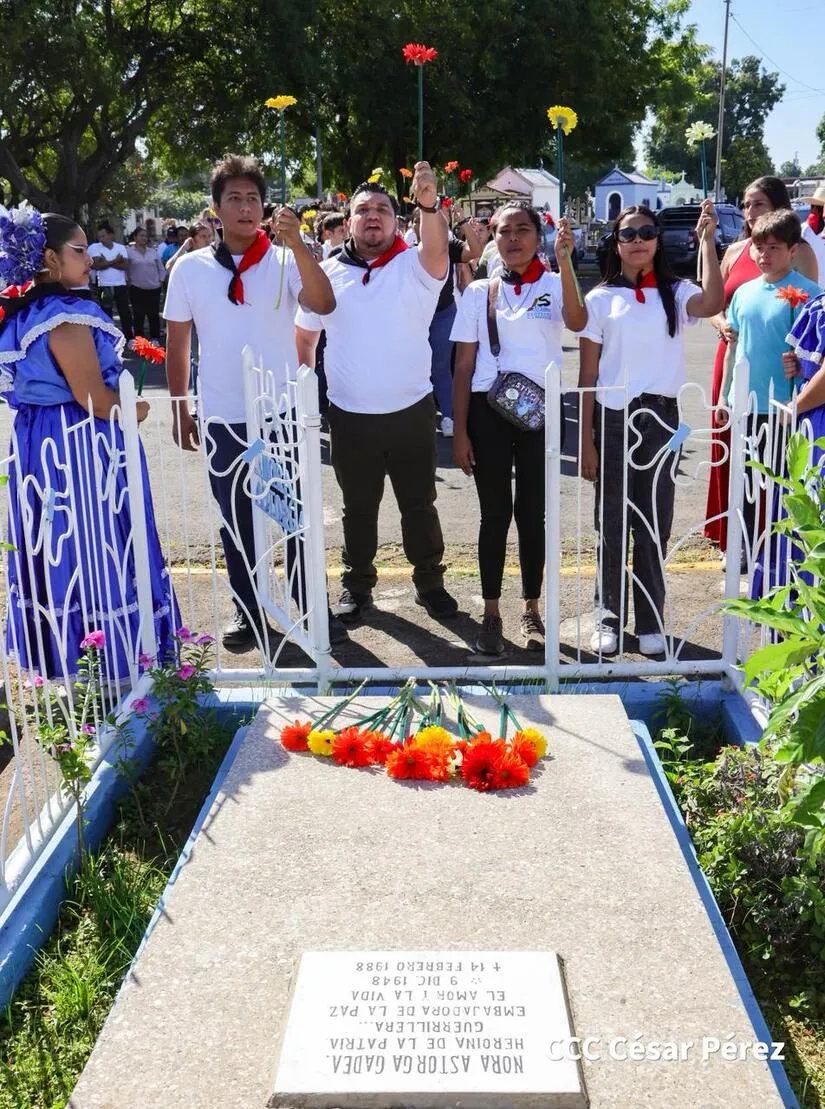 JS19J--(15)_16_11zon