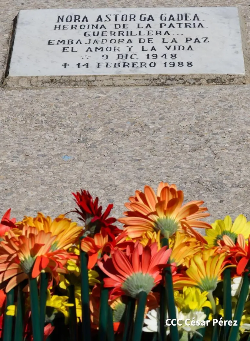 JS19J--(17)_18_11zon