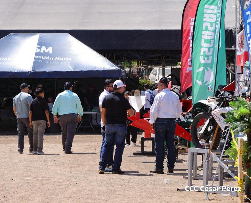 Feria-Ganadera--(13)