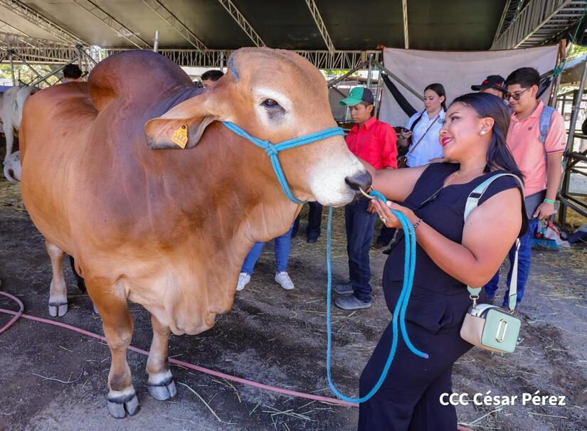 Feria-Ganadera--(24)