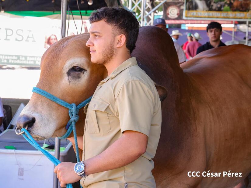Feria-Ganadera--(25)