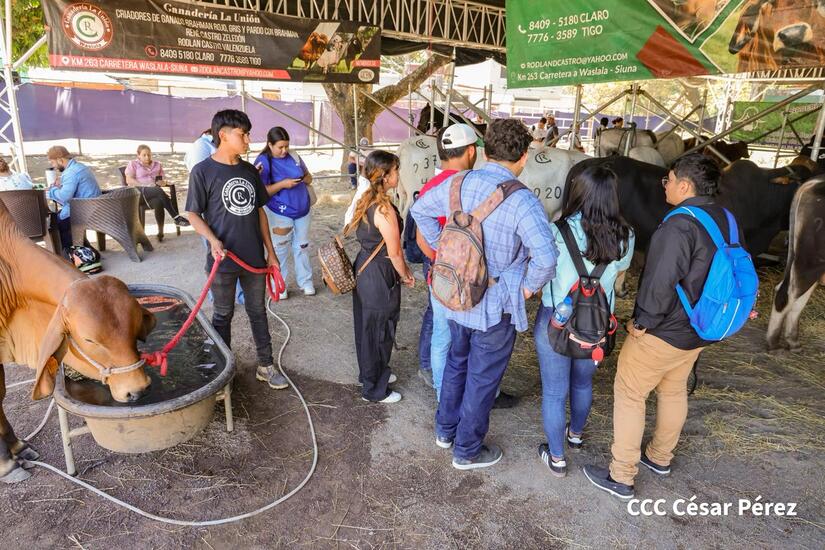 Feria-Ganadera--(27)