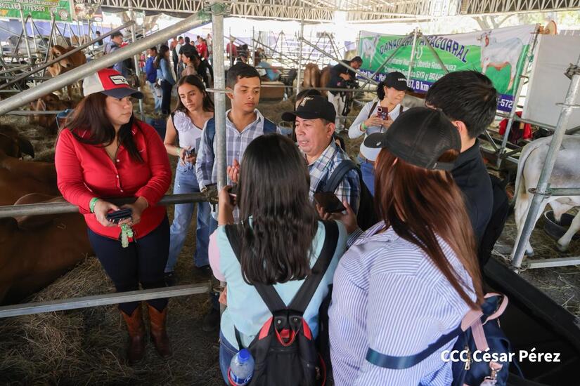 Feria-Ganadera--(5)
