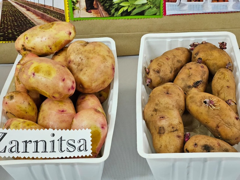 Comunicadores-Belarus--(8)