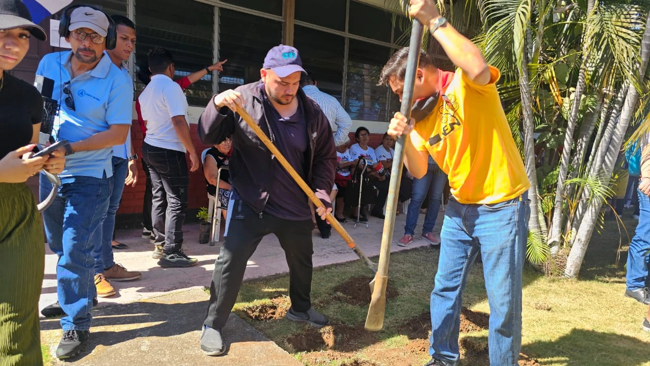 REFORESTACION10