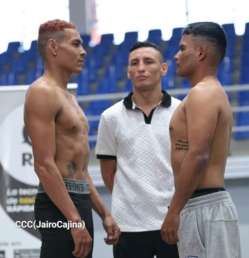 BOXEO-29