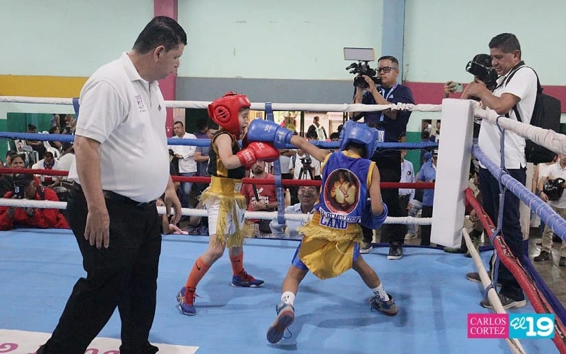 BOXEO5