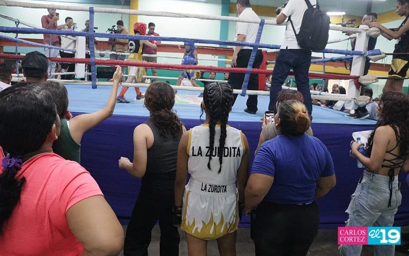 BOXEO6