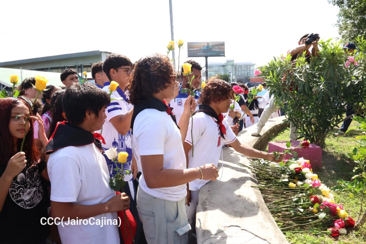FLORES31