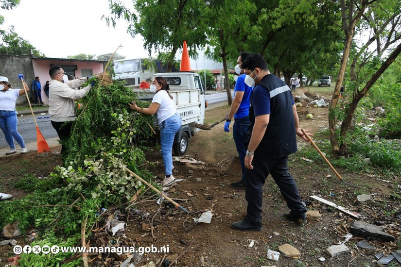 ALMA-7