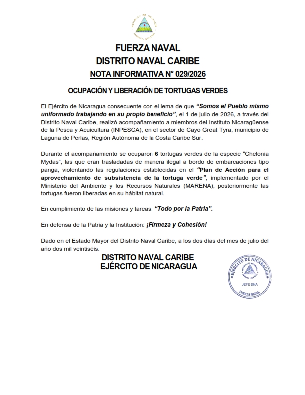 Fuerza-Naval-1
