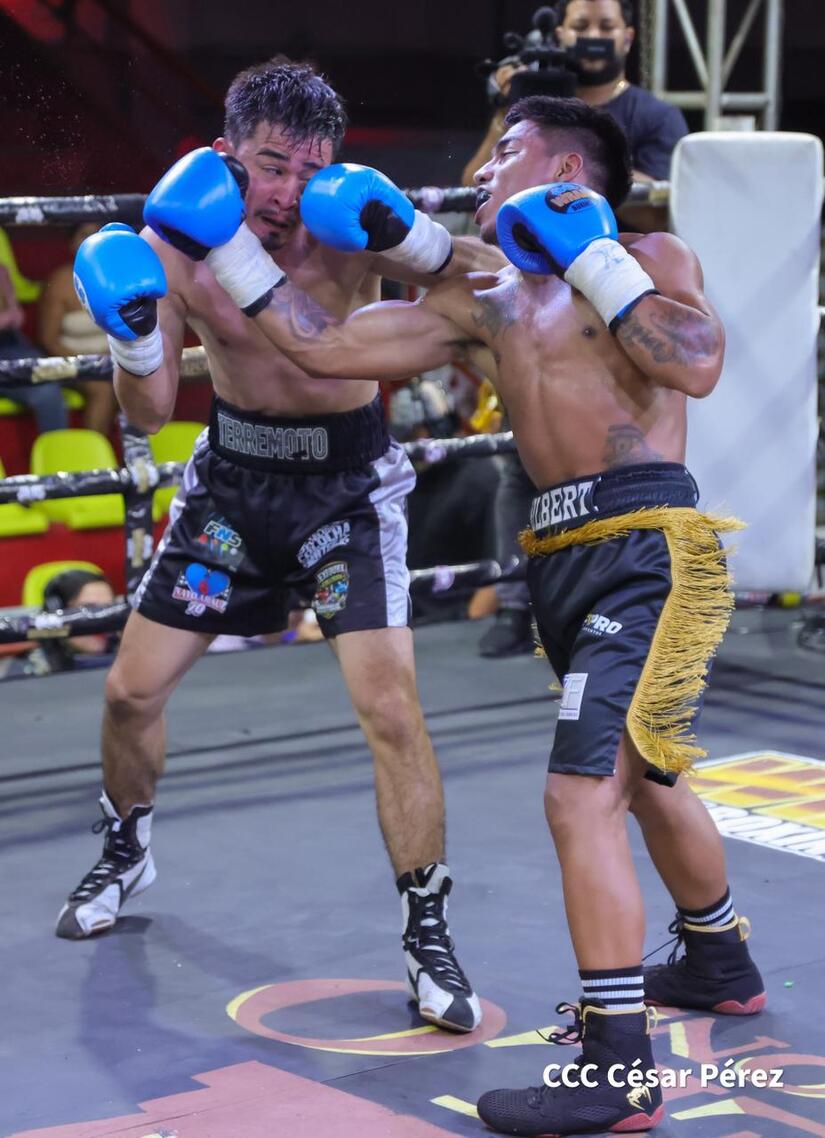 Boxeo--(15)