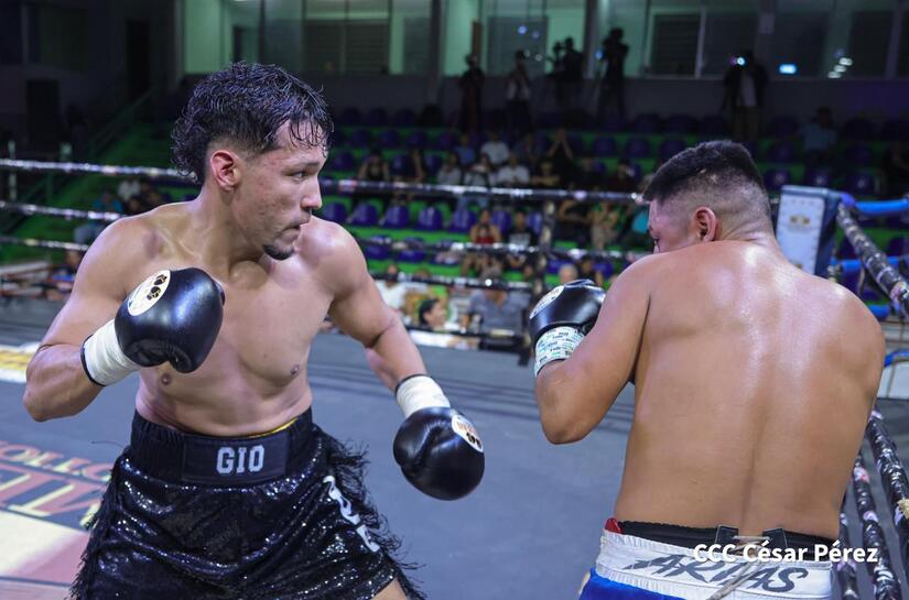 Boxeo--(19)