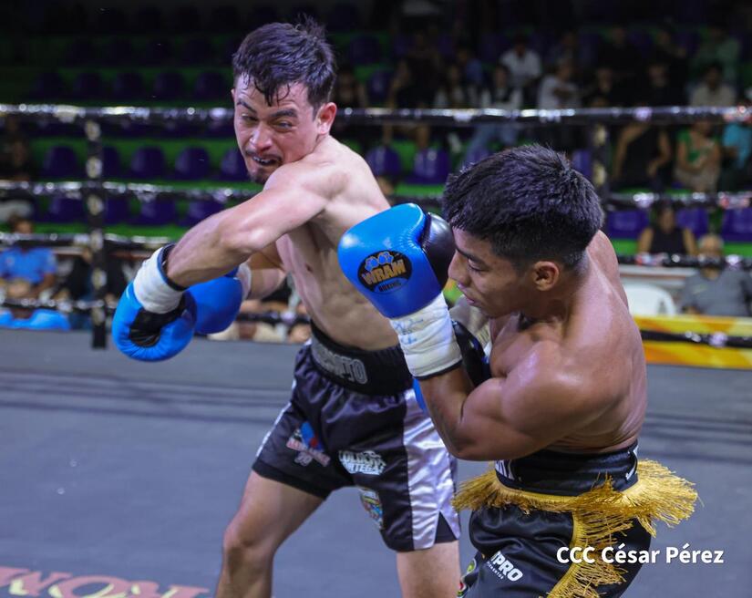 Boxeo--(28)