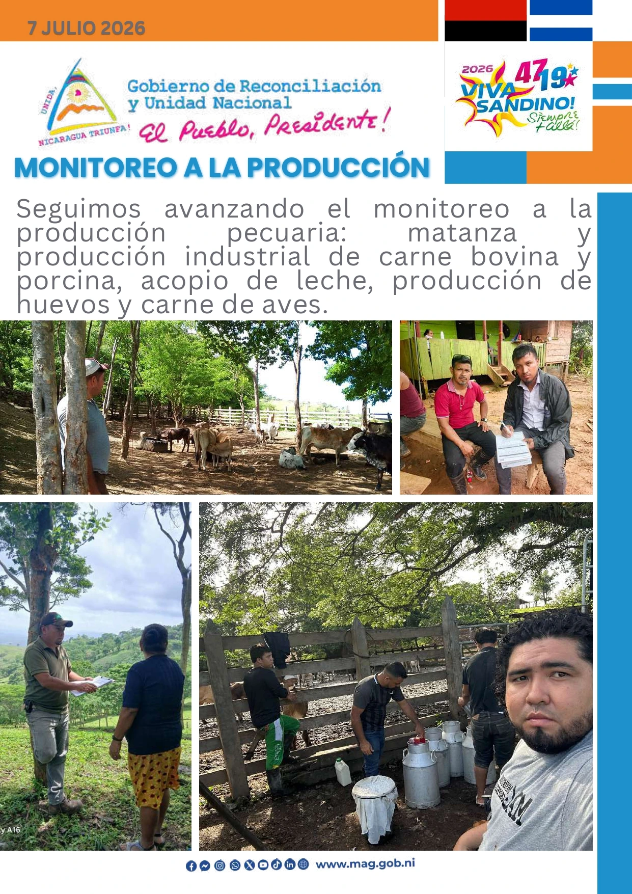 MAG3
