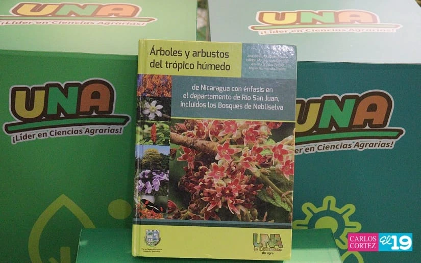 UNA13