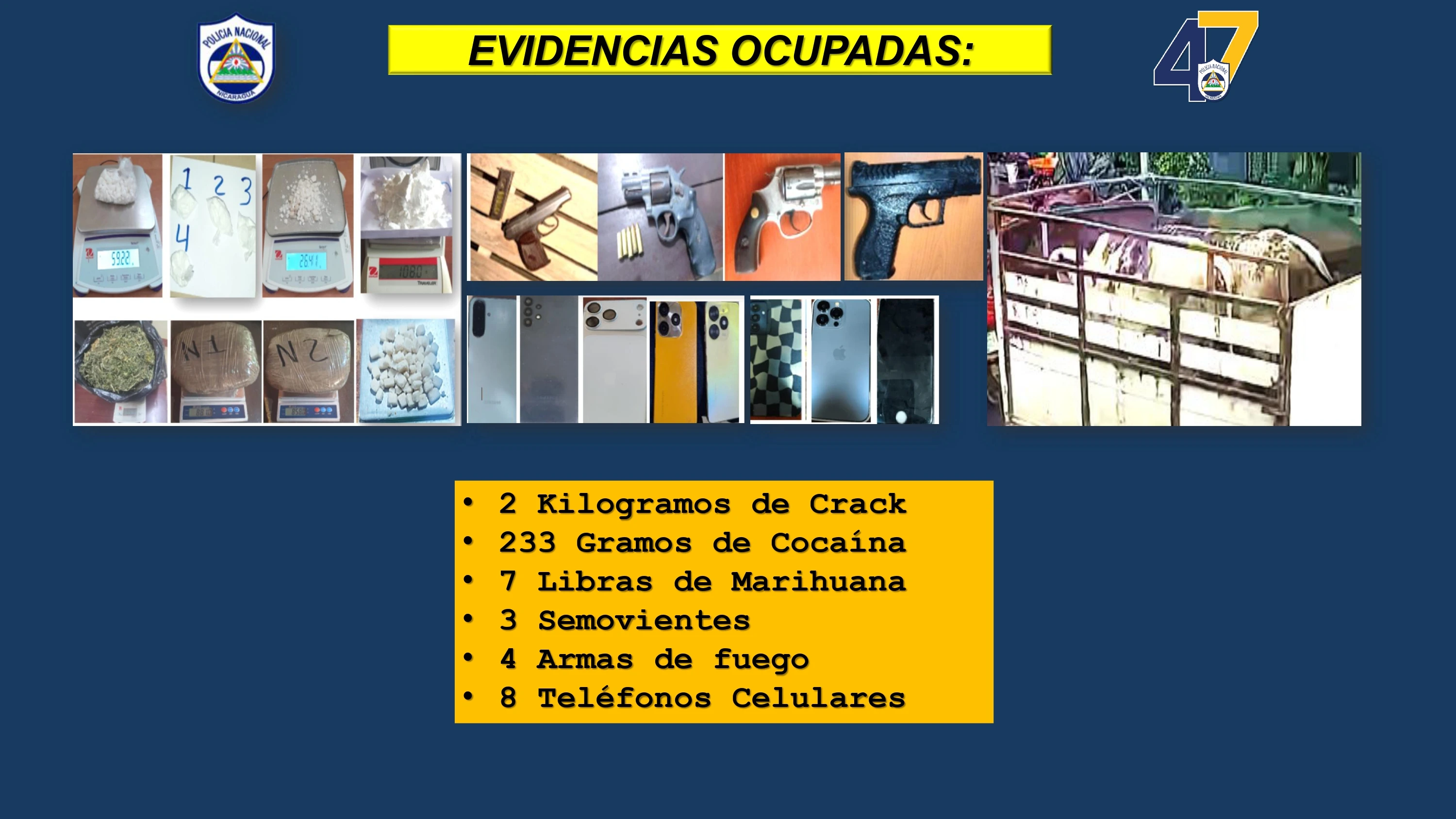 POLICIA6