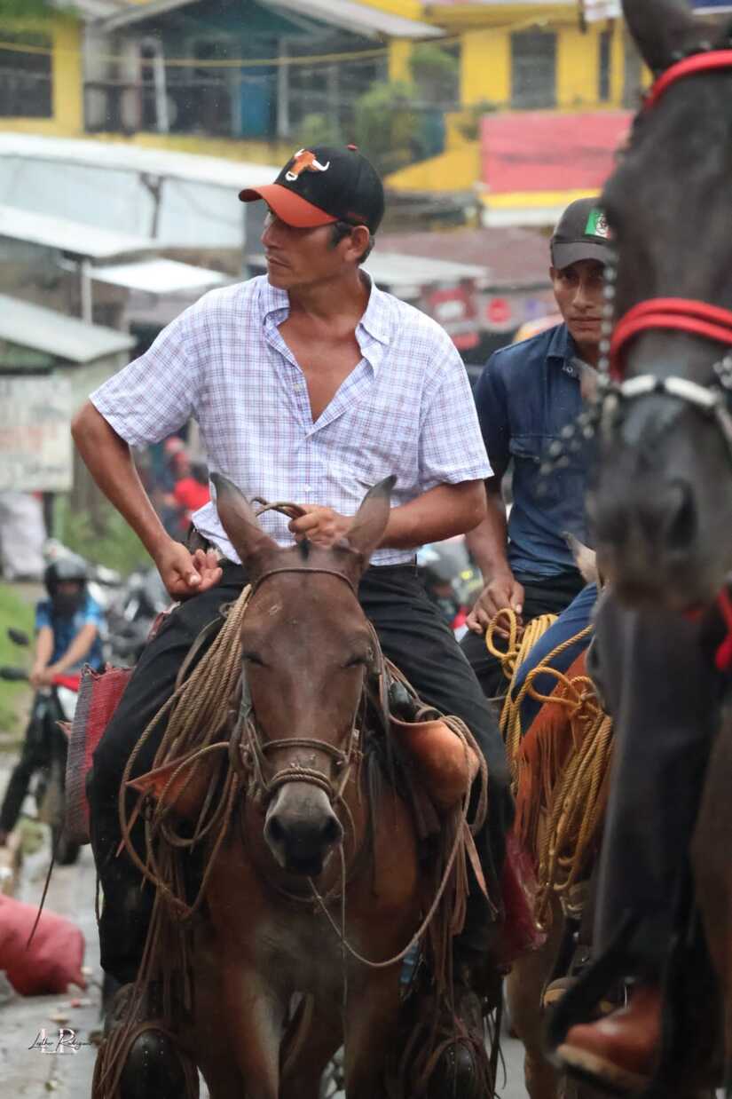 Bonanza--(9)