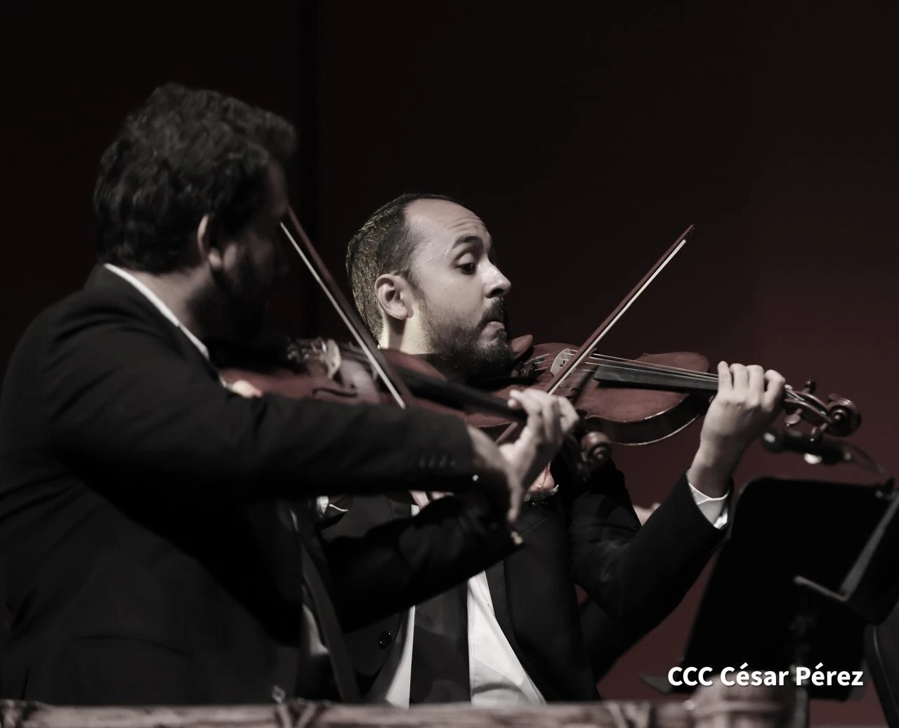 CAMERATA-(7)