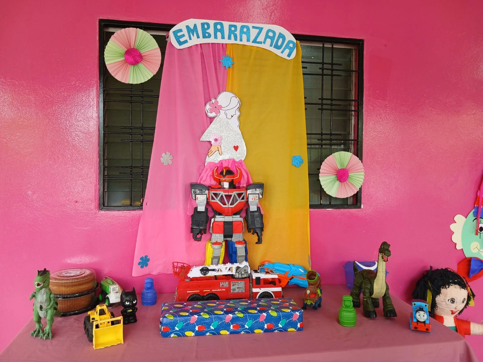 NINDIRI20