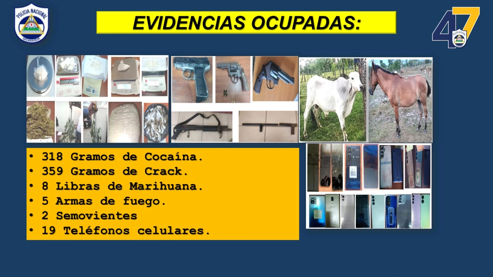 POLICIA6