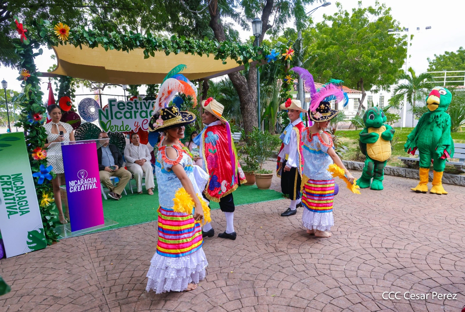 LANZAMIENTO19