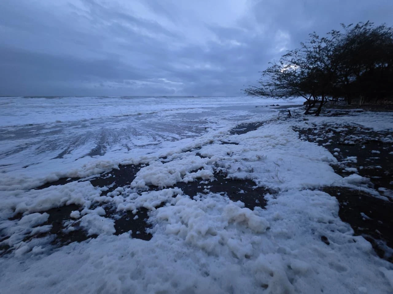 ESPUMA3