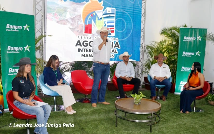 FERIA25