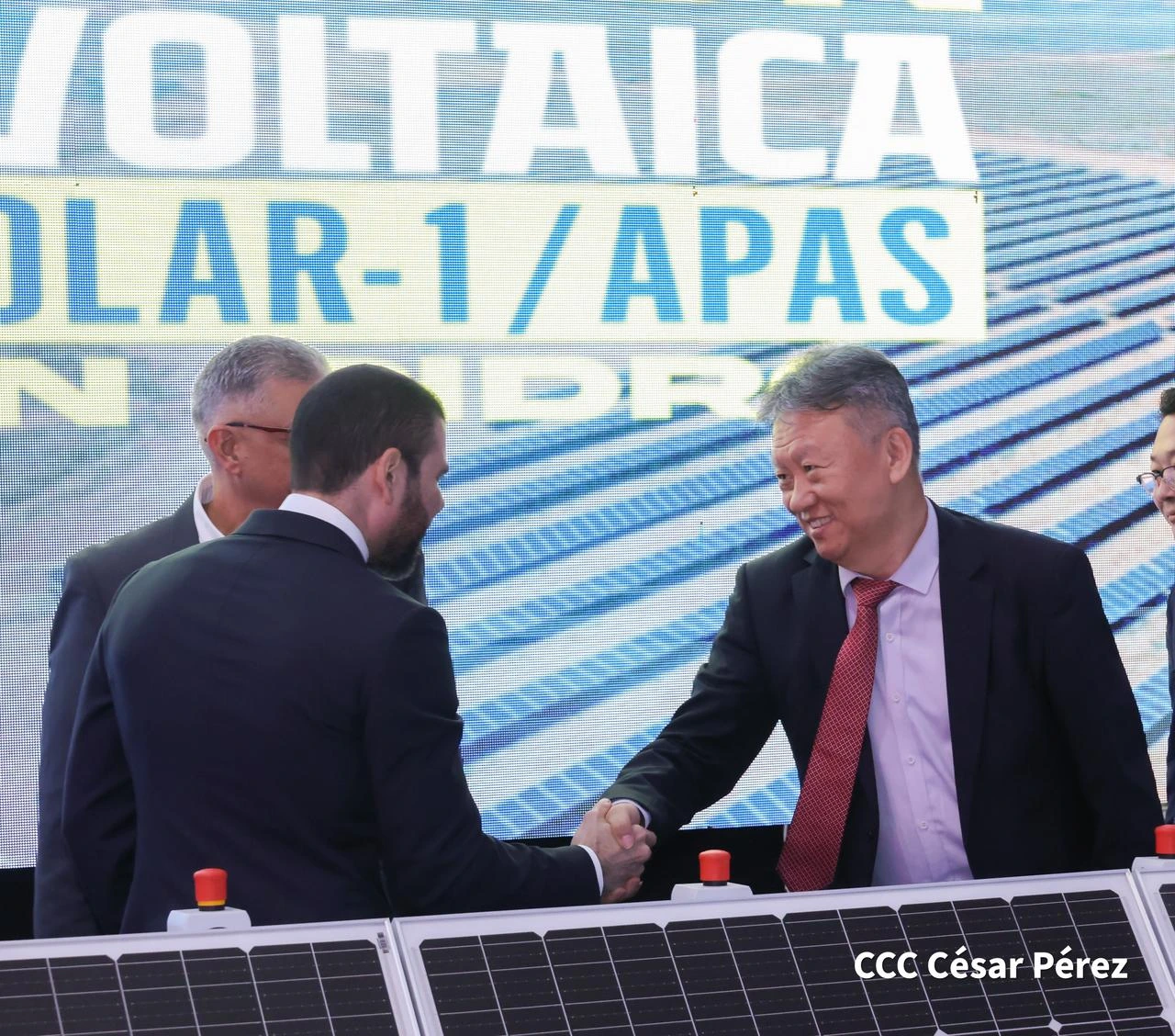 PLANTA13