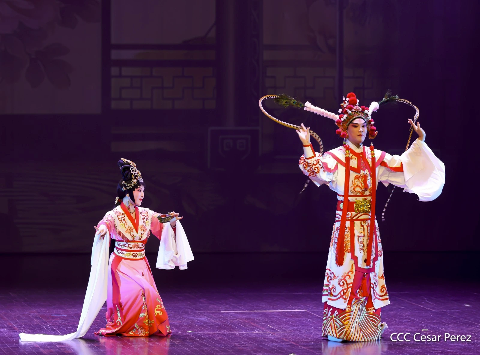 OPERA-(15)