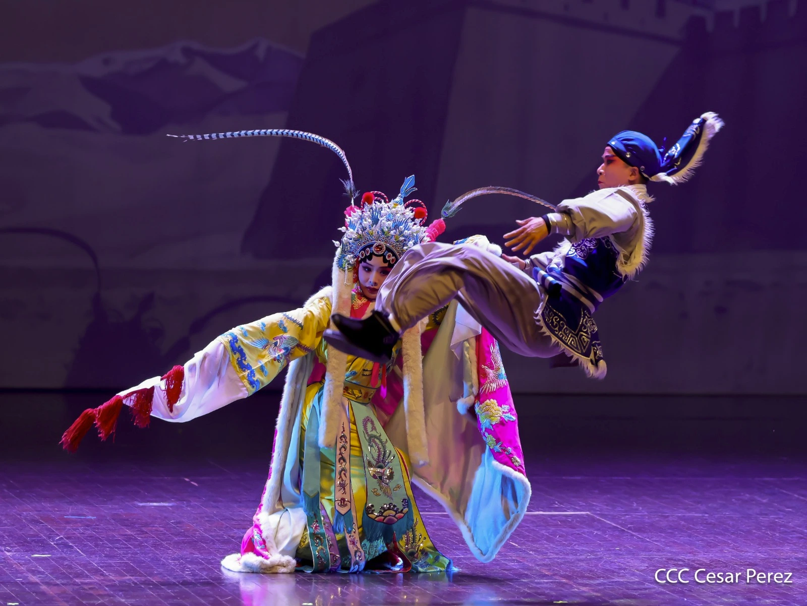OPERA-(17)