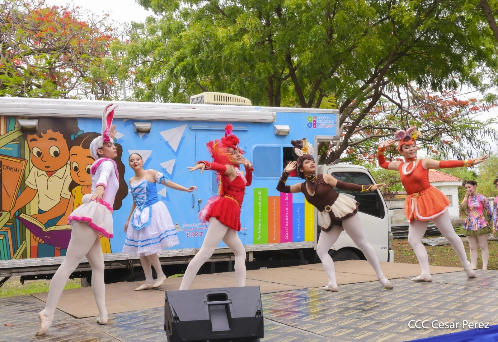 CARNAVAL-(14)