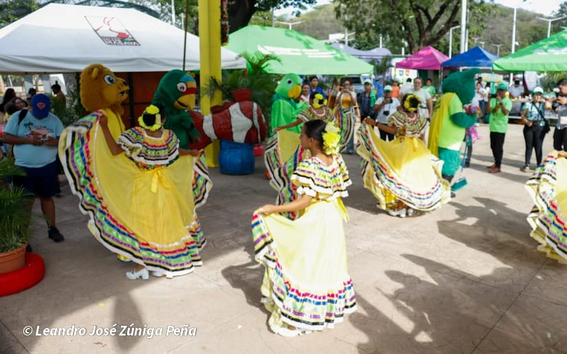 VERDE-(12)