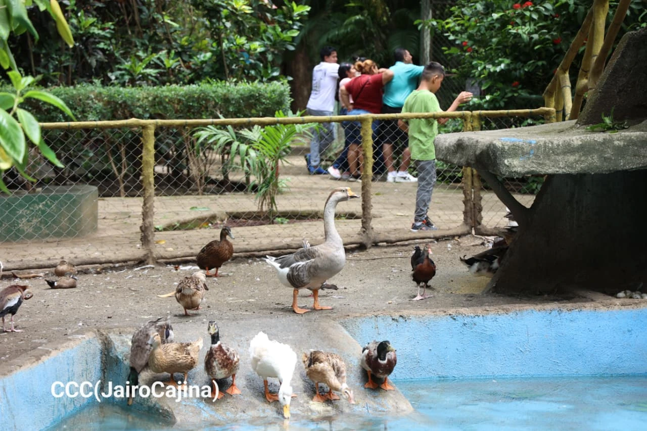 ZOOLOGICO-(24)