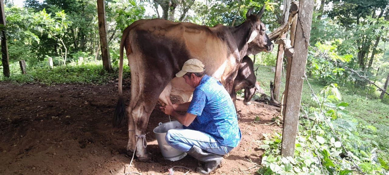 LECHE2