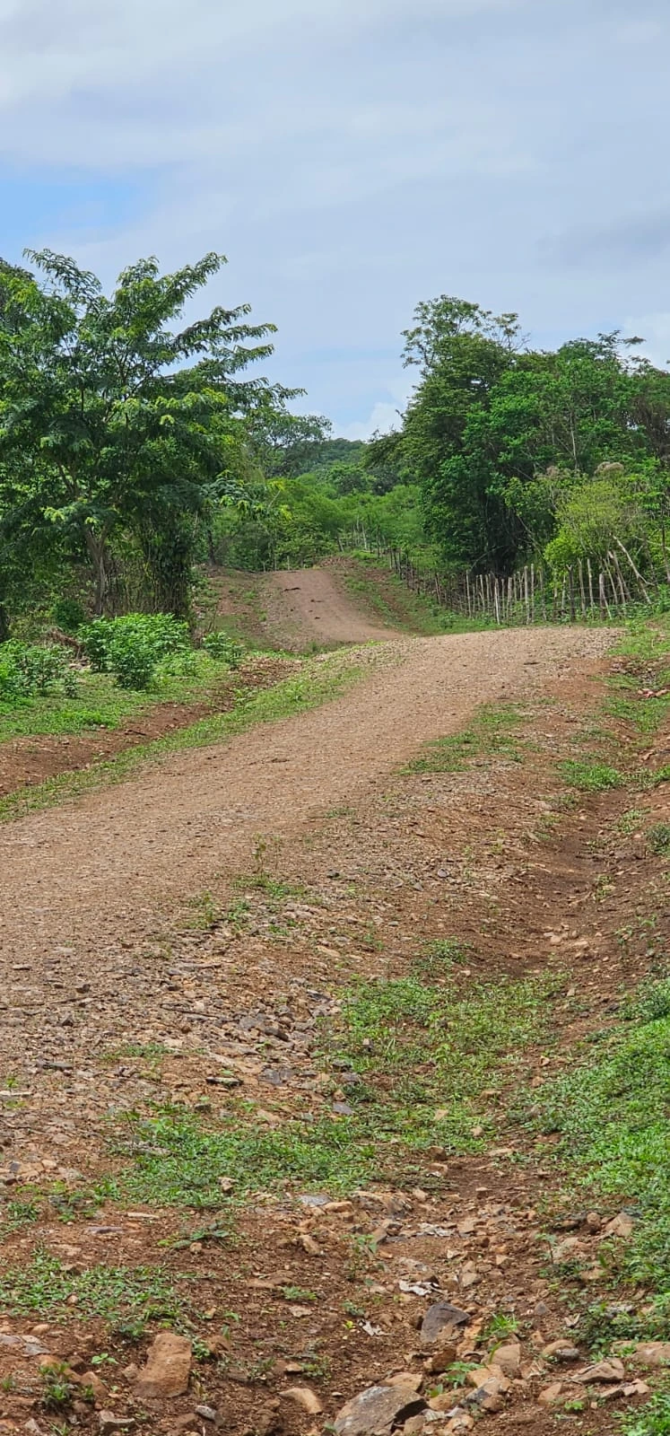 CARIBE-NORTE1