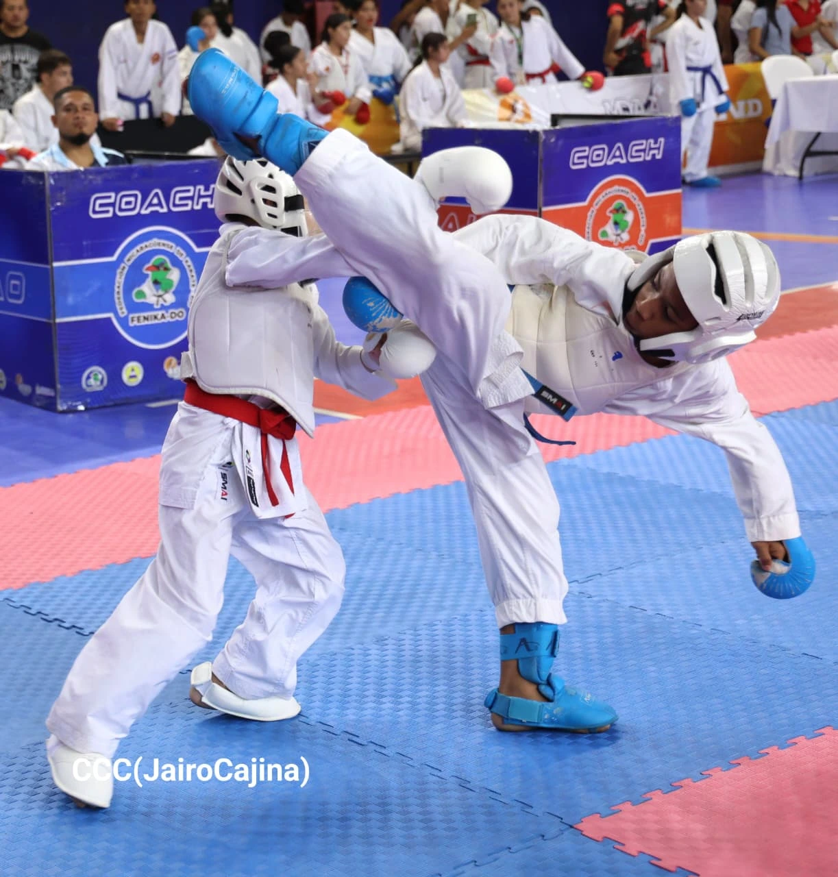 KARATE-(14)