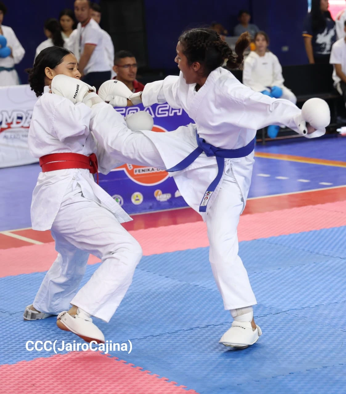 KARATE-(23)