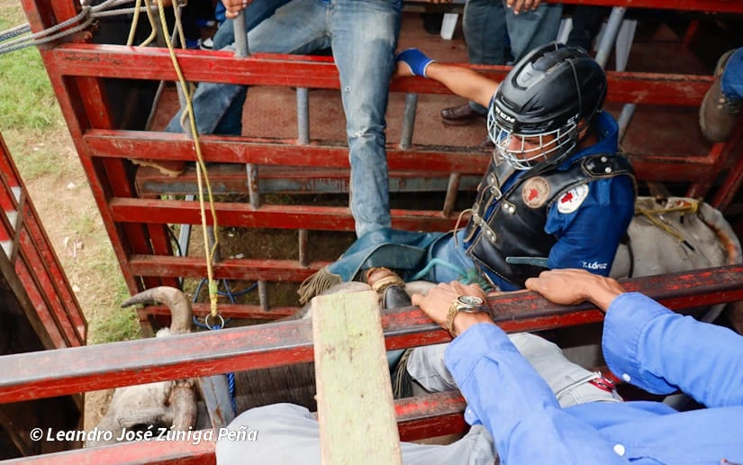 TOROS-(10)